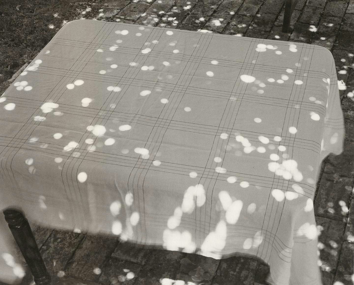 Abelardo Morell, “Sunspots on Covered Table”